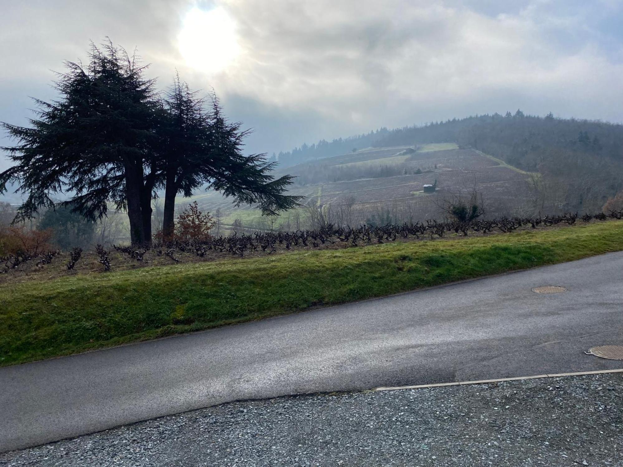 Le Bouchon De Liege Villa Beaujeu  Kültér fotó